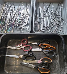 scissors2.jpg
