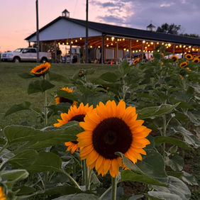 Event venue in the evening