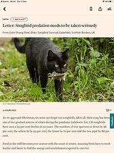 FT Letter.jpeg