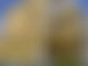 Assaltantes levam 150 mil reais em jóias em Itaperuna