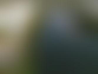 Defesa Civil emite alerta para risco de inundação do Rio Muriaé em Itaperuna