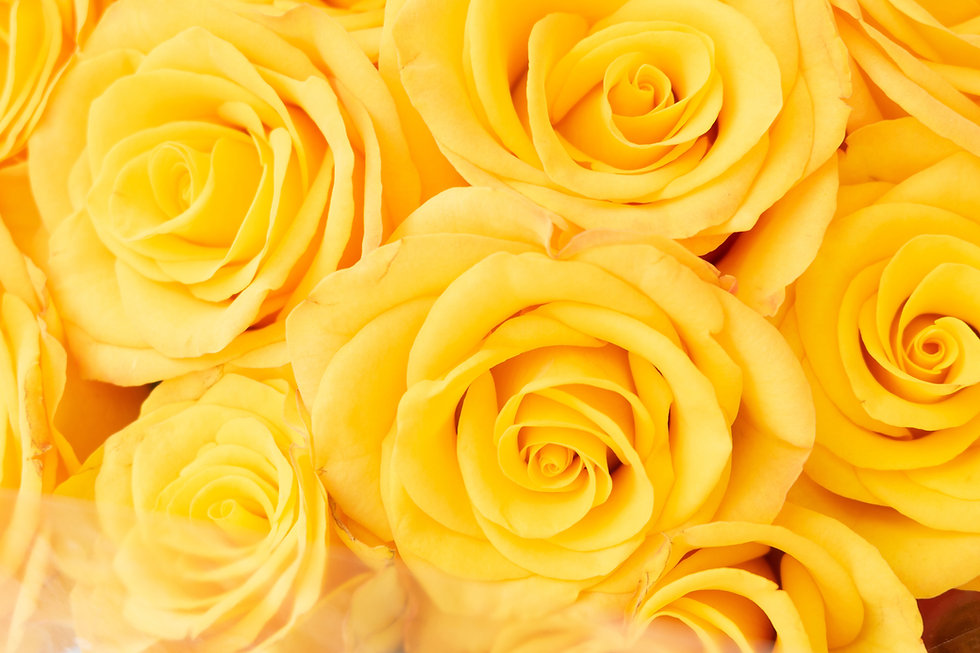 AdobeStock_295818327.jpeg