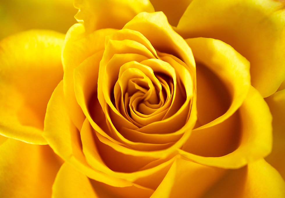 AdobeStock_207827546.jpeg
