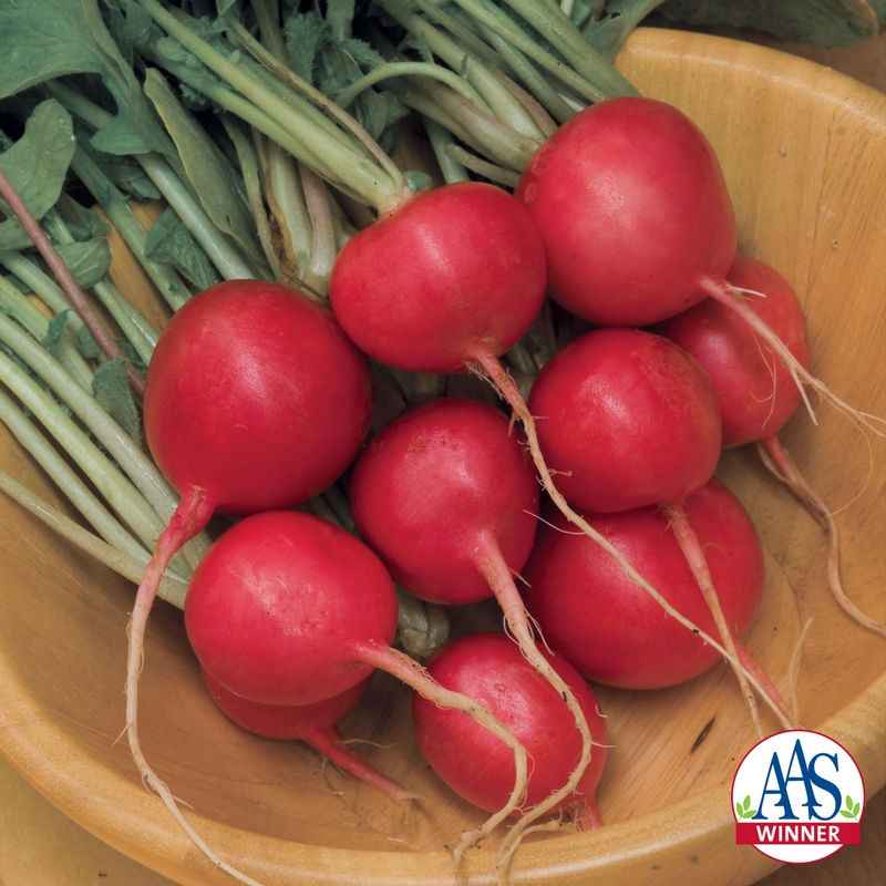 Thumbnail: Packet of Cherry Belle radish seeds for growing small, round, red radishes with crisp, white flesh. This classic, heirloom variety matures quickly and is perfect for salads, sandwiches, and snack trays.