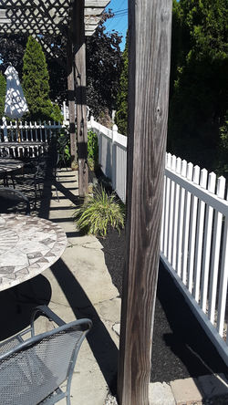 20200817_105959.jpg
