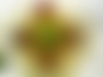 A responsabilidade do relacionar ~ conto real