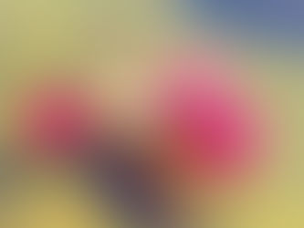 A realidade adorável