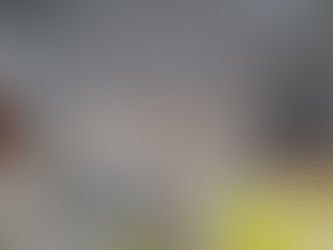 A colónia, a vida e a morte ~ conto real