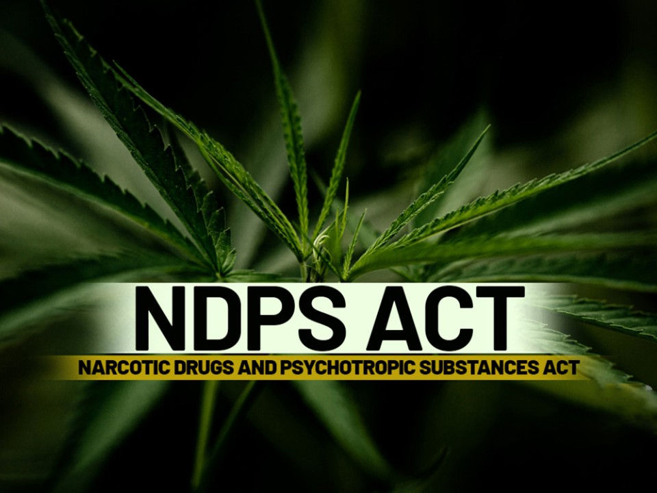 NDPS Arrest? Know Your Rights, Bail Options & Legal Remedies
