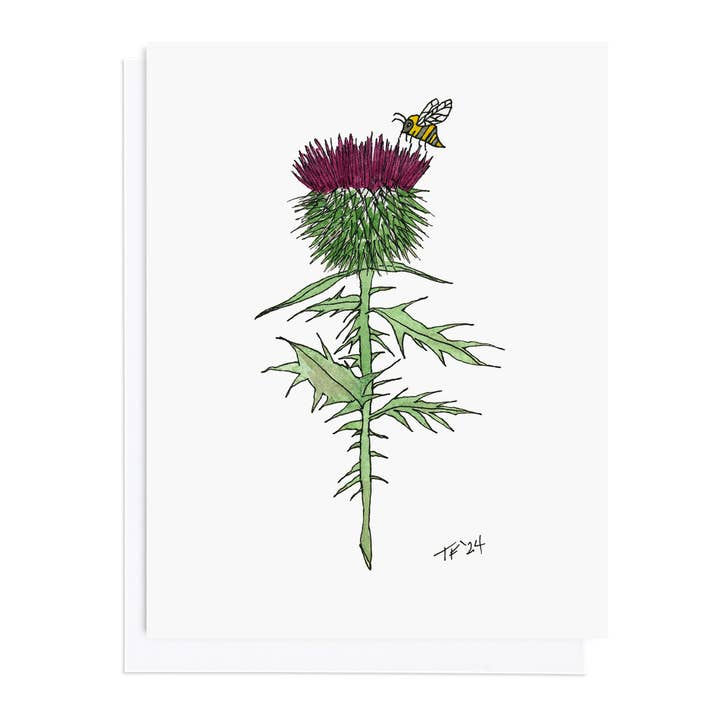 Scottish Thistle|Toute-Petite
