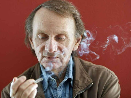 Análisis politológico de "Sumisión" de Michel Houellebecq