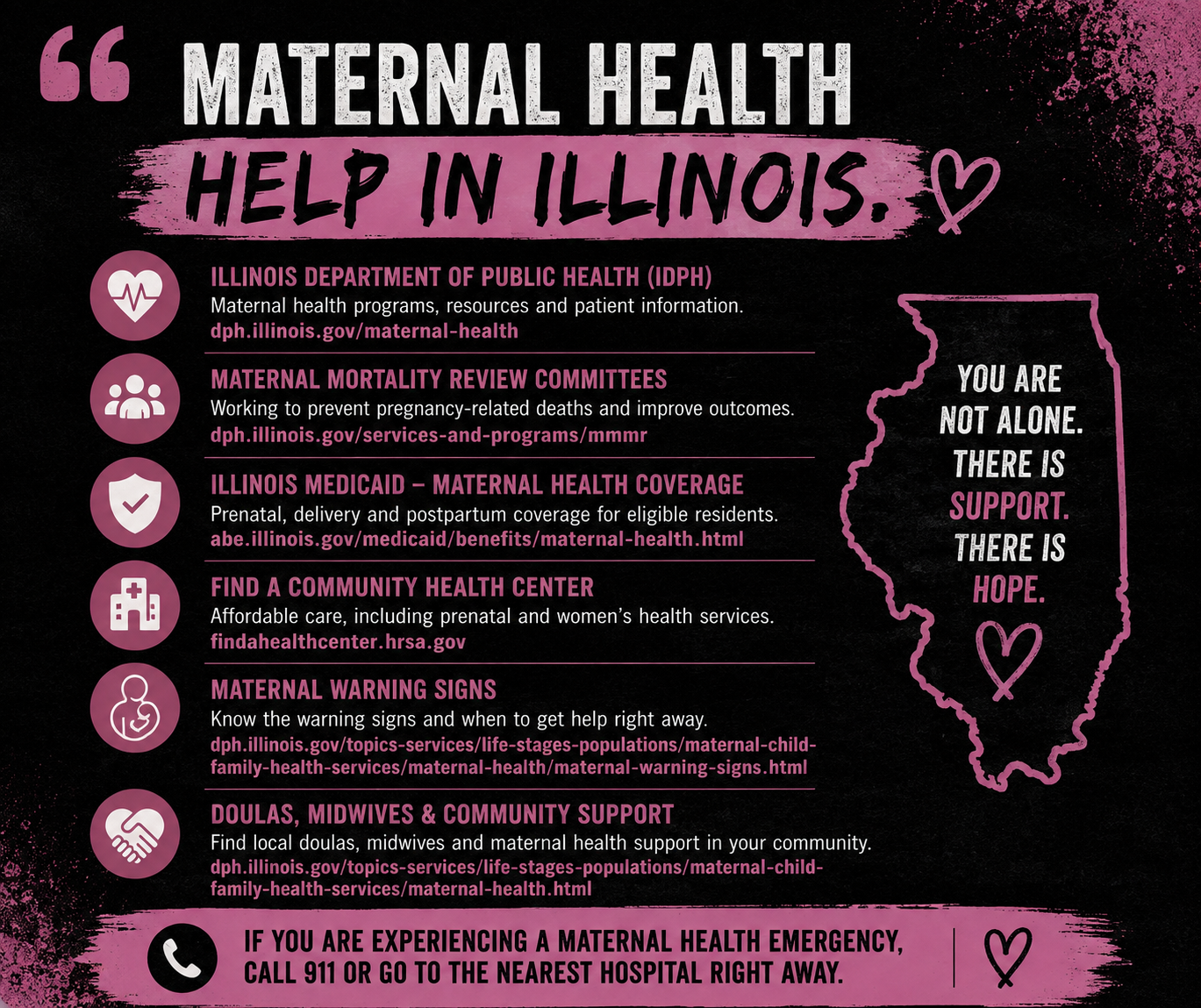 Resource Assets example from the Illinois maternal health project