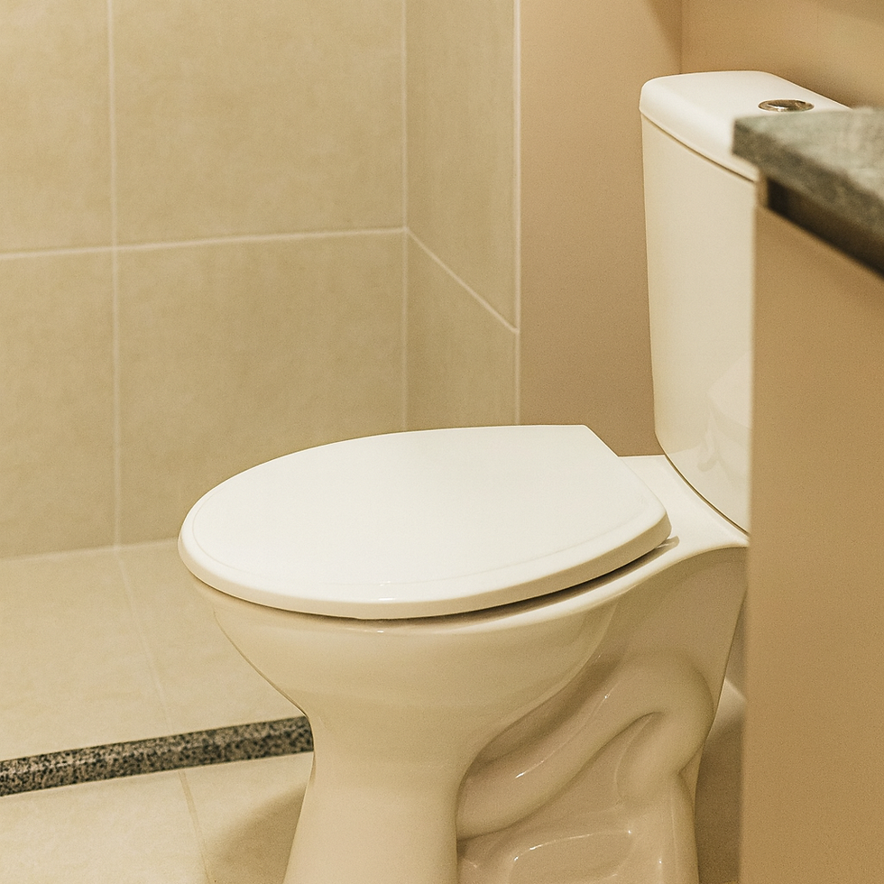 Banheiro diferencial 2.png