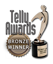 3-time Telly Award winner.