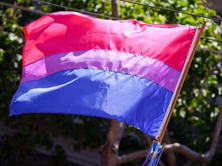 Bisexual awareness weak!
