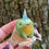 Thumbnail: Unicorn Frog 