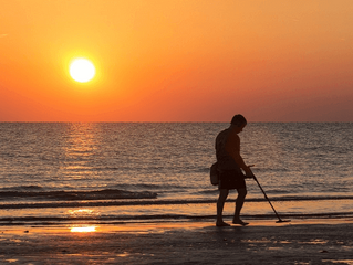 Metal Detectors: Fun in the Son
