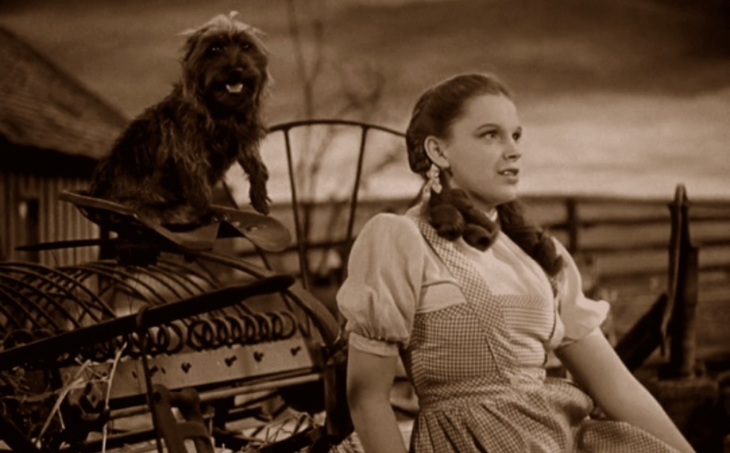 There’s No Place Like Home