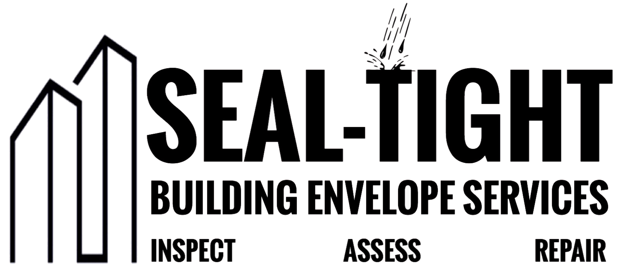 sea-tight-caulking-logo.gif