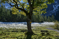 Kerwendel - Pertisau - Gramai