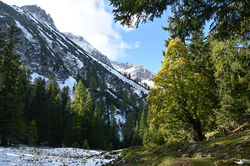 Karwendel - Gerntal