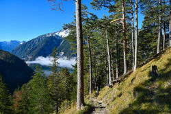 Rofan - Köglalm