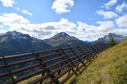 Hohe Tauern - Blumenweg St Jakob