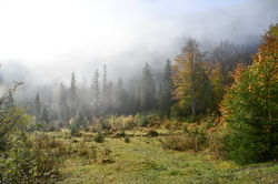 Achensee - Unterautal