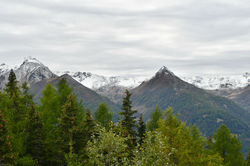 Hohe Tauern - Zedlach