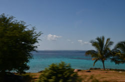 Cuba - Baie des Cochons