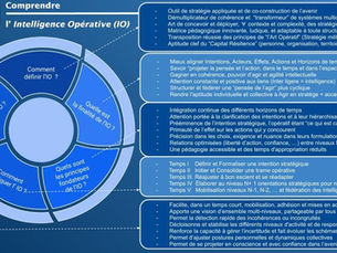 Session Agir en stratège coopérateur à l'Institut National des Études Territoriales (INET)