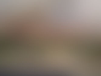 Credible Evidence Continues to Surface Regarding a Likely Friendly Fire Incident on June 30, 2013?