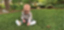RTF-Tall-Fescue.jpg
