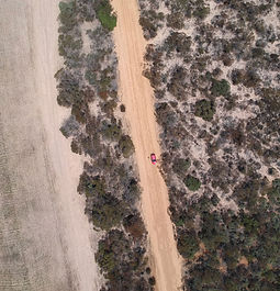 Car driving down mallee dirt road