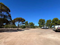 Pinnaroo Free RV Park