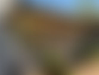 Peppertree Cottage Pinnaroo