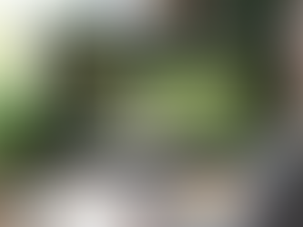 Top 5 Free Landscape Design Software Tools for Your Next Project