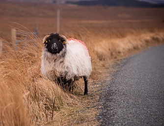 Connemara, Ireland