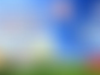 夏休みキッズ向け特別レッスンのお知らせ