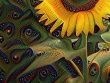 LSD