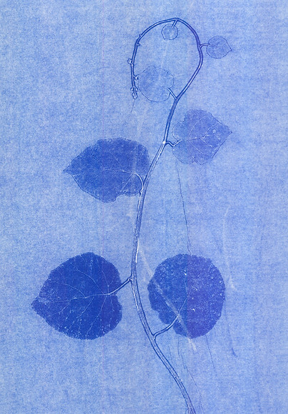 Monotype #07 B.jpg