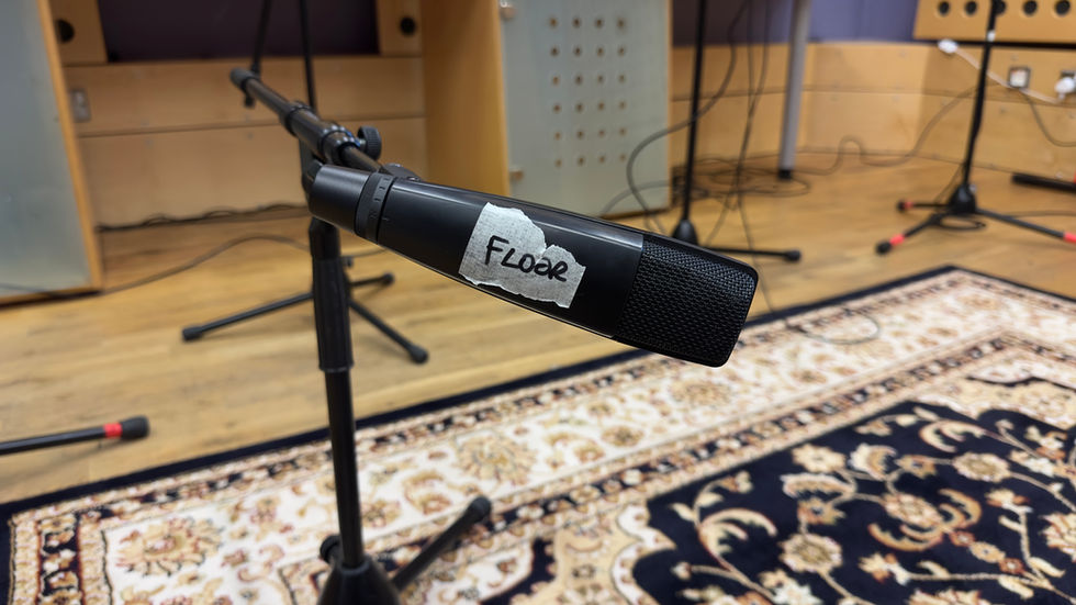 MD-421 Dynamic Cardioid Microphone