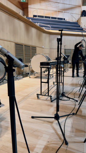 Neumann KM184s