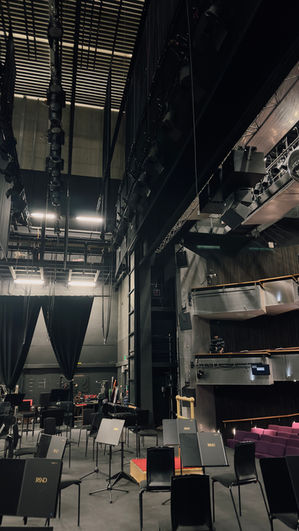 4x slung microphones situated as 2x outriggers for outer strings and 2x for inner strings.