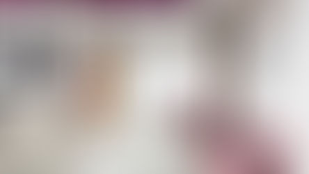 RESTAURO PALAZZO BOVIO FELTRE