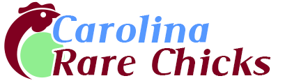 Carolina Rare Chicks logo