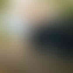 Fall Foliage with CaTuned 