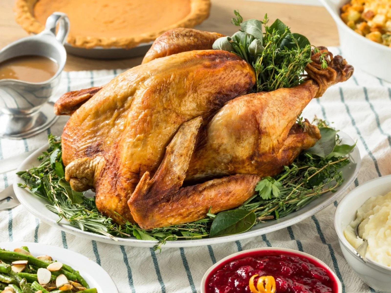 lovage pavo.webp