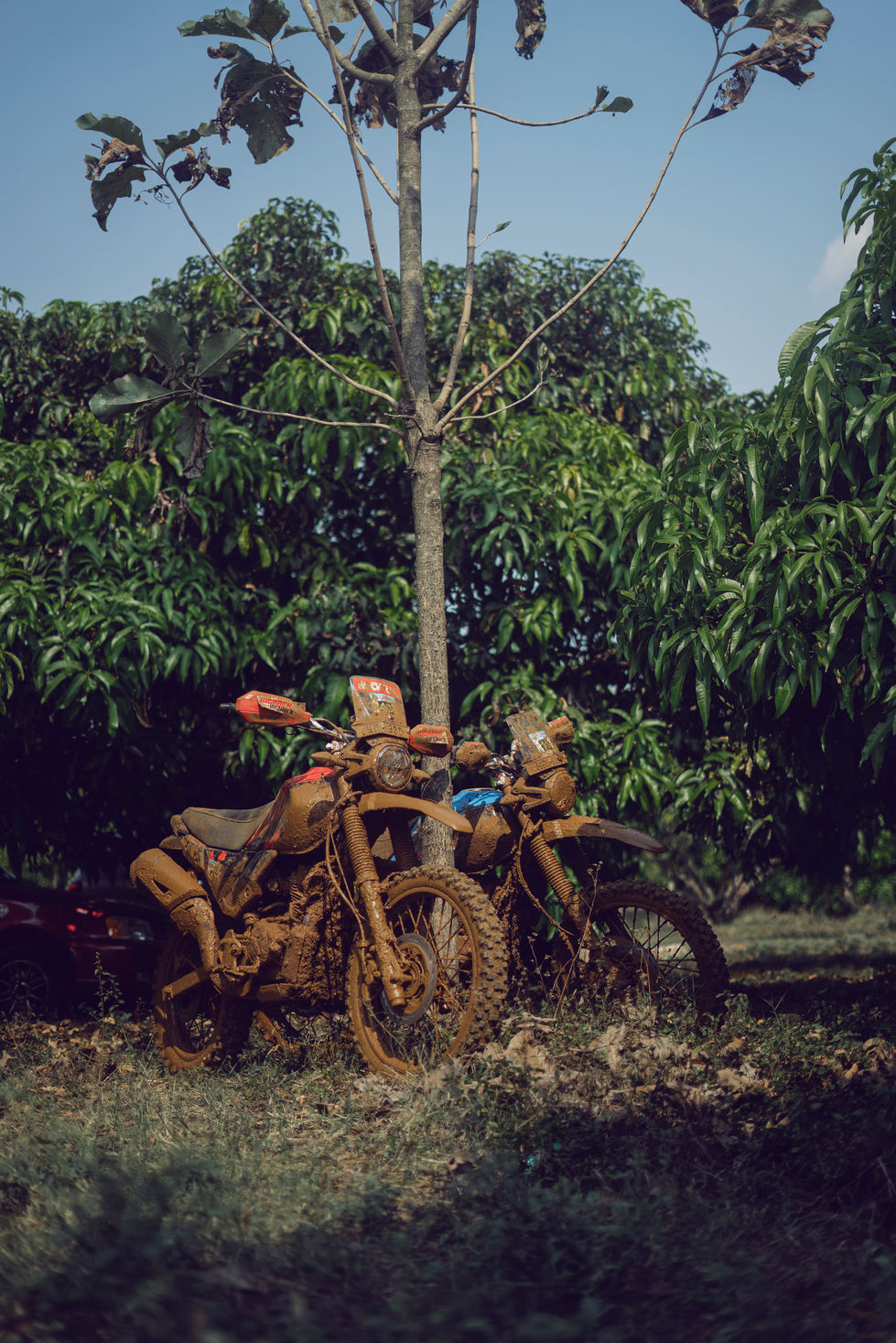 ace of dirt 8 copy.jpg
