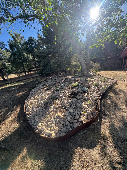 Modern landscape design with drought-tolerant plantings in Fort Collins 80528 garden